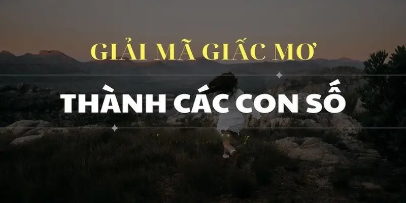 Giải mã giấc mơ tìm dàn số đẹp để đánh lô đề