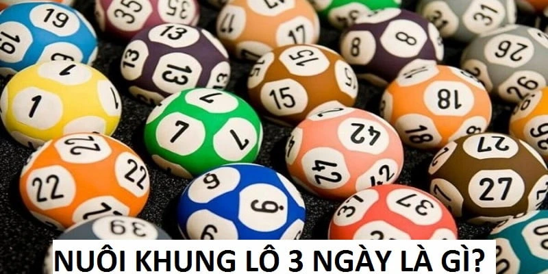 Nuôi lô khung 3 ngày được nhiều người áp dụng